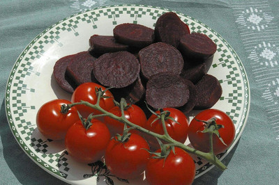 CYBEXIS Seeds of Vegetable Beetroot Wodan F11000 Seeds Seed(1000 per packet)