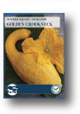 Biosnyg Zucchini Vegetable Seeds[100 Seeds] Seed(100 per packet)
