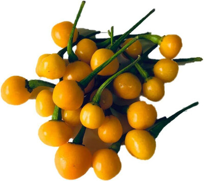 KNESSiN Open-Pollinated Charapa Wild Peruvian Pepper Seeds for Garden-(1200 Seeds) Seed(1200 per packet)