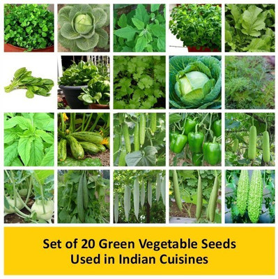 WILLVINE Set of 20 Green Vegetable Seeds Used in Indian Cuisines Seed(2500 per packet)