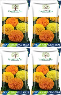 Countgreen Plus African Marigold (Genda) Flower Seed (400 × 4Pkt) Seed(1600 per packet)