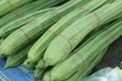 Aro Ridge Gourd, Turai, Luffa Seed(10 per packet)