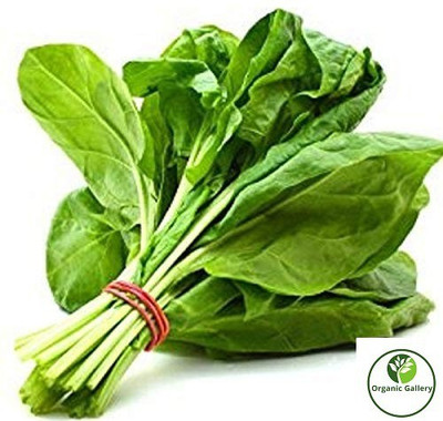 organic gallery Spinach / Palak Improved (50) Heirloom Vegetable Seeds Seed(50 per packet)