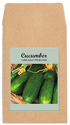KNESSiN Cucumber Chicago Pickling Seed(200 per packet)