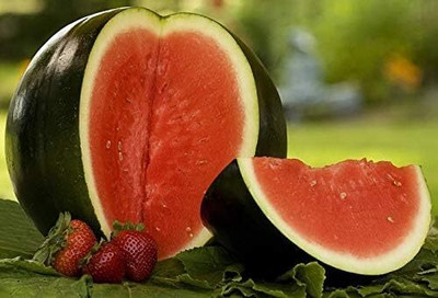 Biosnyg Open-Pollinated Watermelon Black Beauty Fruit Seeds for Garden-(100 Seeds) Seed(100 per packet)