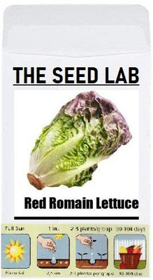 CYBEXIS Organic Vegetable Seeds-Red Romain Lettuce2000 Seeds Seed(2000 per packet)