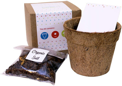 CRGO SEEDS KIT Seed(22 per packet)
