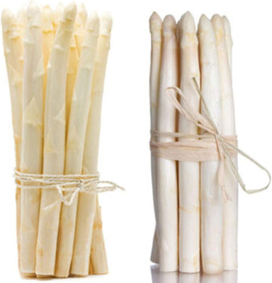 CYBEXIS Rare Non GMO Perennials White Asparagus Seeds100 Seeds Seed(100 per packet)