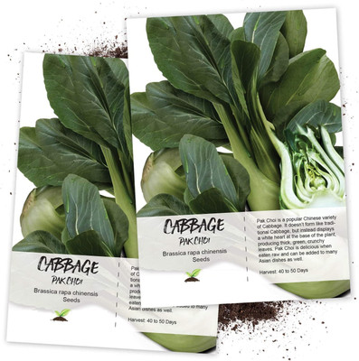 WILLVINE PakChoi Cabbage (Brassica oleracea)-2 x Packet Seed(200 per packet)