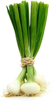 Qualtivate RES-9A Onion (Bunching) - White Lisbon Seed(500 per packet)