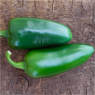 Biosnyg NDIR-32 Jalapeño M Pepper (Capsicum annuum)-[800 Seeds] Seed(800 per packet)
