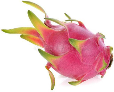 Oliver F1@quality dragon fruit seed Seed(135 per packet)