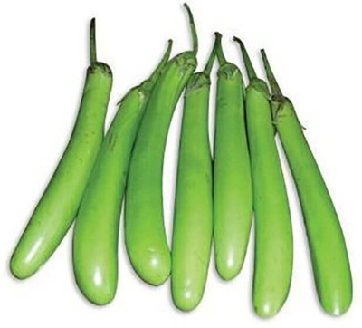 Aywal Begun Seed(170 per packet)