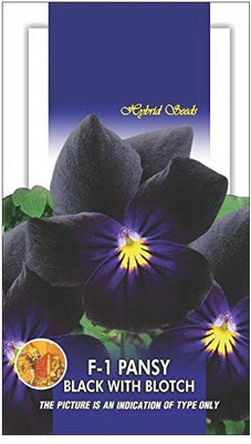 CYBEXIS Pansy Black with Blotch Flower Seeds Seed(1 g)