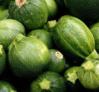 Qualtivate XLL-122 Round Zucchini Summer Squash Seeds Seed(100 per packet)