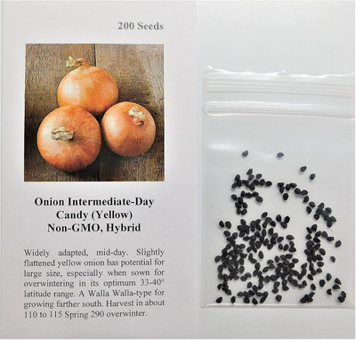 WILLVINE SYN -XII Onion Candy (Yellow) [1g] Seed(750 per packet)