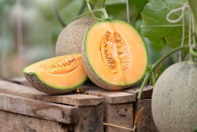 BDSresolve Fruit muskmelon seeds PACK OF 53 Seed(53 per packet)