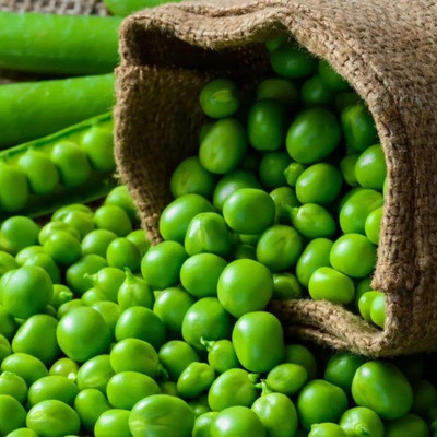 Aywal Pea Seed(650 per packet)