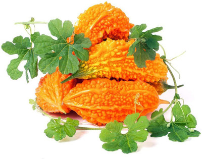 CYBEXIS Rare Bitter Gourd Seeds Unique Color-100 Seeds Seed(100 per packet)