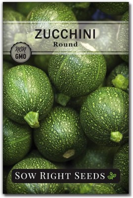 Qualtivate HYB-8A Round Zucchini Squash Seed(30 per packet)