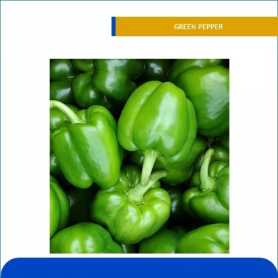 Kirat Capsicum Green Pepper Seed(100 per packet)