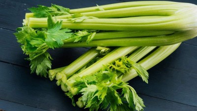 CYBEXIS NDIR-68 - Green Leaf Stalk Celery Celeriac - (750 Seeds) Seed(750 per packet)