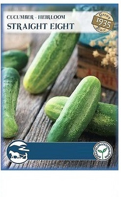 Biosnyg Vegetable Seeds Cucumber[500 Seeds] Seed(500 per packet)
