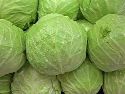 CYBEXIS Cabbage Vegetable Seeds2000 Seeds Seed(2000 per packet)