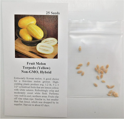 WILLVINE VXI-360 Musk Melon Torpedo 9938 (Yellow) Seed(200 per packet)