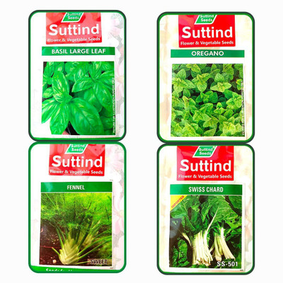 CYBEXIS Combo of 4 Exotic Herbs Seeds Seed(10 g)