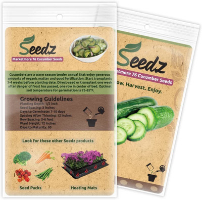 VibeX ® LXI-444 Heirloom Pickling Cucumber Seeds Seed(200 per packet)