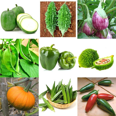 GREENSEA 10 Mix Vegetable 100+ Seed(100 per packet)