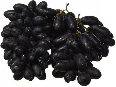 Quentova अंगूर के बीज Black Grapes Fruit-UK-4V Seed(150 per packet)