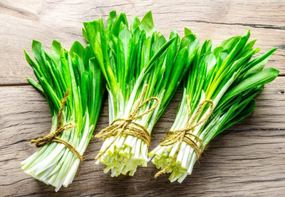 WILLVINE PAU -IX Wild Garlic Ramsons Buckrams Wild Onion [5g] Seed(3000 per packet)