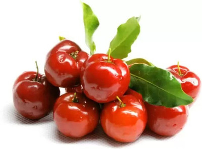 Aro Cherry, Sweet Cherry Seed(25 per packet)