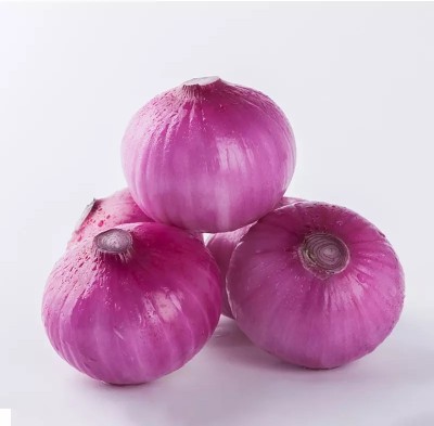 Quentova Organic Onion Pyaj-NST-3V Seed(300 per packet)