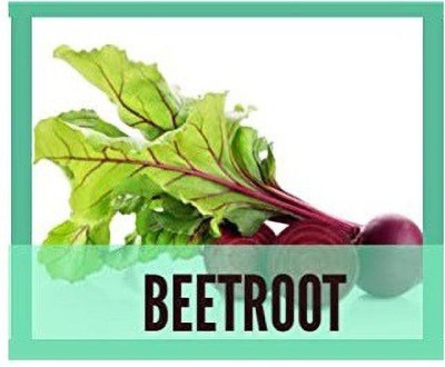 CYBEXIS Beetroot1000 Seeds Seed(1000 per packet)