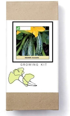 Biosnyg Cocozelle Squash-[250 Seeds] Seed(250 per packet)