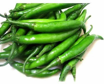 Mozette Organic green chilli Seed(43 per packet)