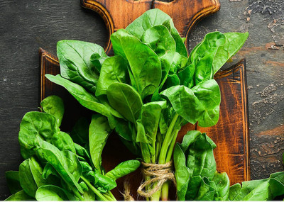 WILLVINE KGF -70 Viroflay Spinach Seed for Planting Seed(1000 per packet)