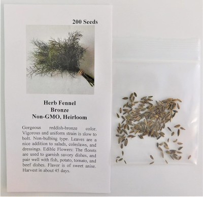 CYBEXIS GUA-15 - Fennel Bronze Herb - (2250 Seeds) Seed(2250 per packet)