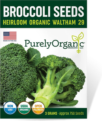 WILLVINE ROX -XII Heirloom Broccoli Seeds (Waltham 29) [1g] Seed(300 per packet)
