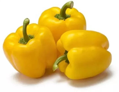 VASUDHA Yellow Bell Pepper/Capsicum Seed(500 per packet)