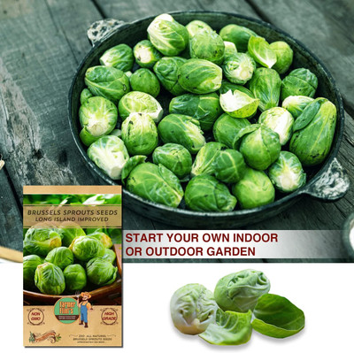 WILLVINE ROX -VIII Brussels Sprouts Long Island Improved [2.5g] Seed(750 per packet)