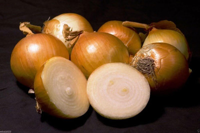 Biosnyg Non GMO Texas Super Sweet Onion Vegetable Seeds for Garden-(3000 Seeds) Seed(3000 per packet)
