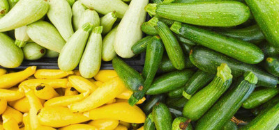 VibeX PAU-62 - Zucchini and Squash Mix - (75 Seeds) Seed(75 per packet)
