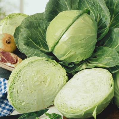 MYLAWN Golden Acre Cabbage Seed(100 per packet)