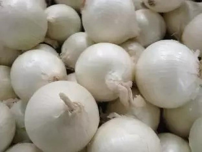 MAA Onion white, Onion Seed(100 per packet)