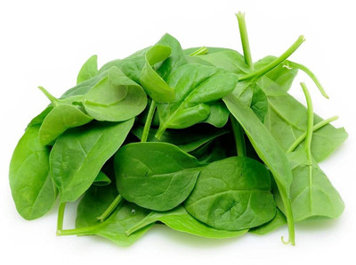 Qualtivate PUA-3A Baby Spinach Small Palak Seeds Seed(300 per packet)