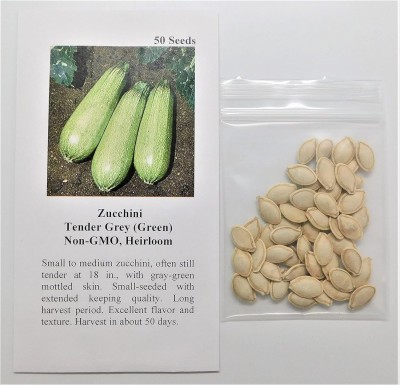 Qualtivate HUA-9A Zucchini Tender Grey Seed(30 per packet)